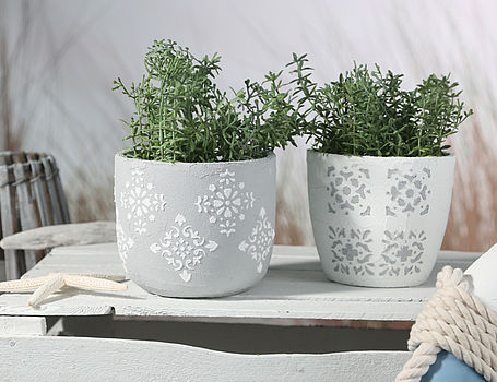 "Pots de fleurs"
